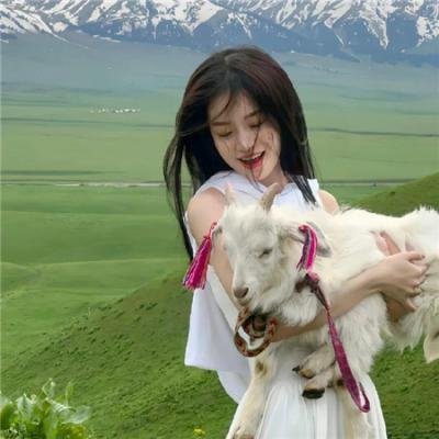 香车绮梦